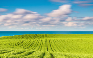 Green field water clouds landscape - green grass free wallpaper