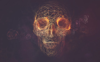 Skull wireframe face eyes artistic - a skull free wallpaper