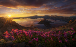 Sunset mountains lake flowers cityscape - a mountain range in the distance free wallpaper