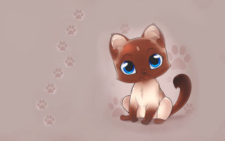 Blue eyed cat standing next - plain background free wallpaper