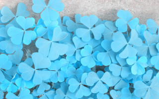 Blue leaves sidewalk butterfly flower - a sidewalk in front free wallpaper