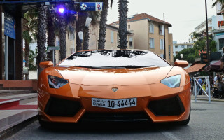 Orange sports car palm trees - nice looking orange sports car free wallpaper