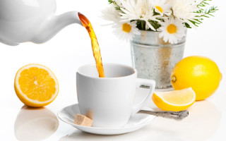 Tea pour lemons daisies flower - a cup free wallpaper