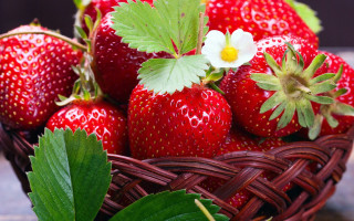 Strawberry basket flower leaf impressionism - a leaf free wallpaper for desktop