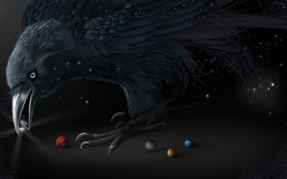 Bird open planets star night - a star in the sky free wallpaper