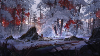 Snowy forest fire person autumn - anato finnstark free wallpaper
