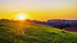 Sunset hill walker houses forest - the hill free wallpaper