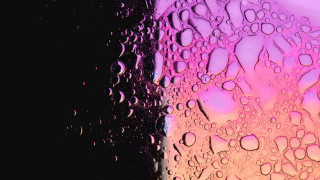 Water drops cherry blossoms night - chromatic free wallpaper for desktop