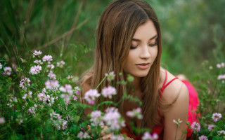 Red dress flower field blurry - portrait photography free wallpaper