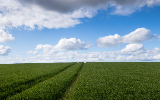 Green grass trail clouds mountain - david inshaw free wallpaper