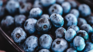 Blueberries closeup bokeh depthofield planet - blueberry free wallpaper