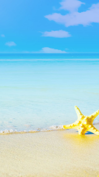 Starfish beach blue sky water - white cloud free wallpaper for mobile