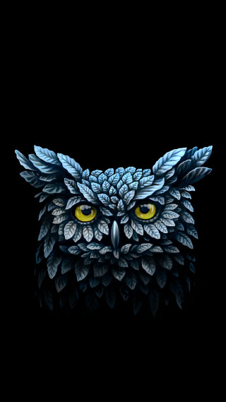 Owl yellow eyes leaves dark - dark background free wallpaper for mobile