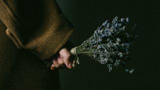 Person holding flowers dark background - elinor proby adams free wallpaper