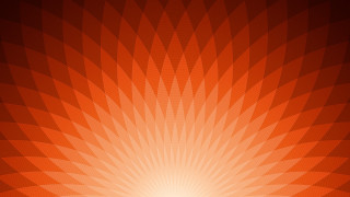 Red orange background large flower 2 - a white center in the middle free wallpaper