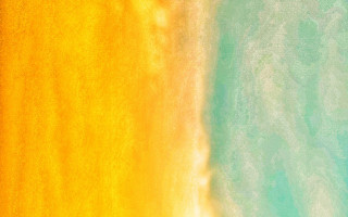 Yellow blue bird right abstract - affandi free wallpaper