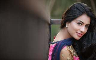 Woman pinkblue sari portrait jewelry - sari free wallpaper for desktop