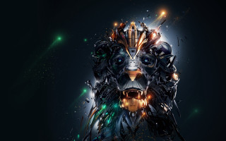 Dog lights facial aurora space - light free wallpaper