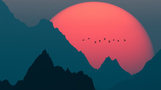 Birds mountain sunset forest moon 2 - sunset time free wallpaper