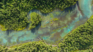 River forest blue water algae - blue water free wallpaper