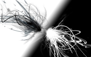 Black white flower long hair - particle free wallpaper
