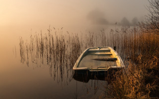 Foggy boat reeds birds sunset - a foggy day free wallpaper