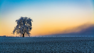 Lone tree fence sunset rainbow - a rainbow in the sky free wallpaper