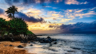 Beach palm sunset clouds water - the sky and water free wallpaper