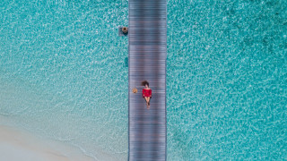 Woman red top boardwalk dog - a leash free wallpaper