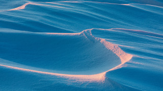 Snow field bird beach ocean - eric deschamps free wallpaper