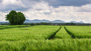 Green grass tree mountains sky - the distance in the distance free wallpaper