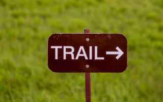 Trail sign green grass arrow - a wireframe diagram free wallpaper