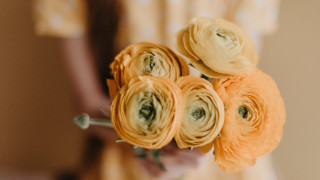 Person bouquet flowers blurry background - a person holding free wallpaper