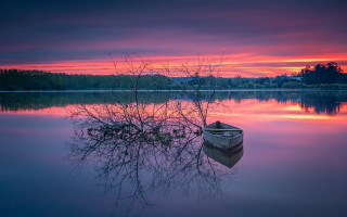 Boat sunset tree water pink - a tree in the foreground free wallpaper for desktop