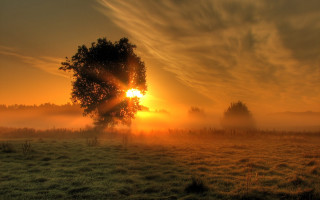 Sunrise tree fog clouds mountain - sunrise free wallpaper