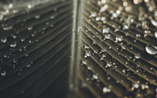 Leaf water droplets abstract bokeh - abstract illusionism free wallpaper