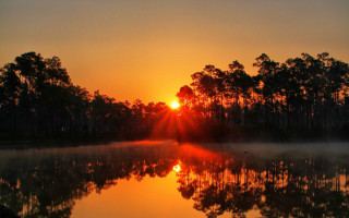 Lake sunset fog trees autumn - the background and trees free wallpaper