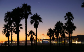 Ferris wheel palm trees dusk - a ferris free wallpaper