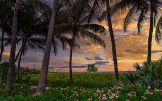 Sunset palm trees lifeguard tower - in the foreground free wallpaper