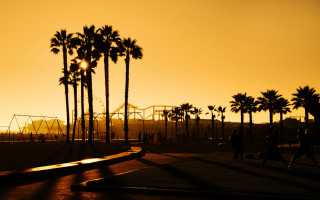 People walking palm trees sunset - ben thompson free wallpaper