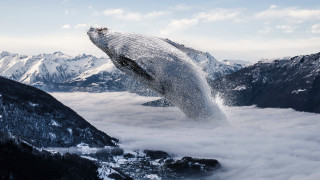 Humpback whale mountains snow clouds - the mountain free wallpaper