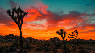 Sunset trees rocks clouds autumn - a few rock free wallpaper for desktop