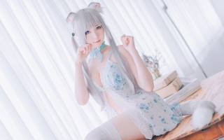 White dress cat ears cosplay - a cat ear free wallpaper