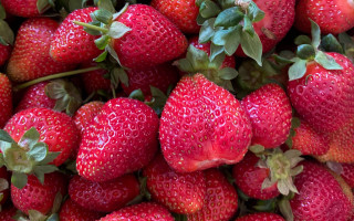 Strawberries leaves water droplets closeup - strawberry free wallpaper