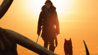 Primitivism man furcoat dog sunset - a sun setting behind free wallpaper