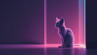 Cat doorway neon pink photorealism - a neon light free wallpaper