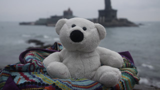 White teddy bear ocean lighthouse - a white teddy bear free wallpaper