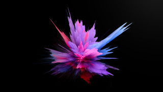 Colorful flower reflection 3D generative - a colorful flower free wallpaper