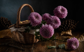 Basket flowers table leaves cones - the table free wallpaper for desktop