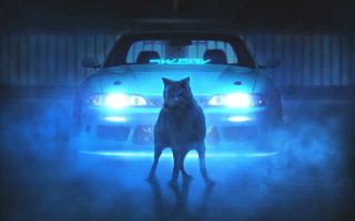 Dog car foggy night cyberpunk - headlight free wallpaper